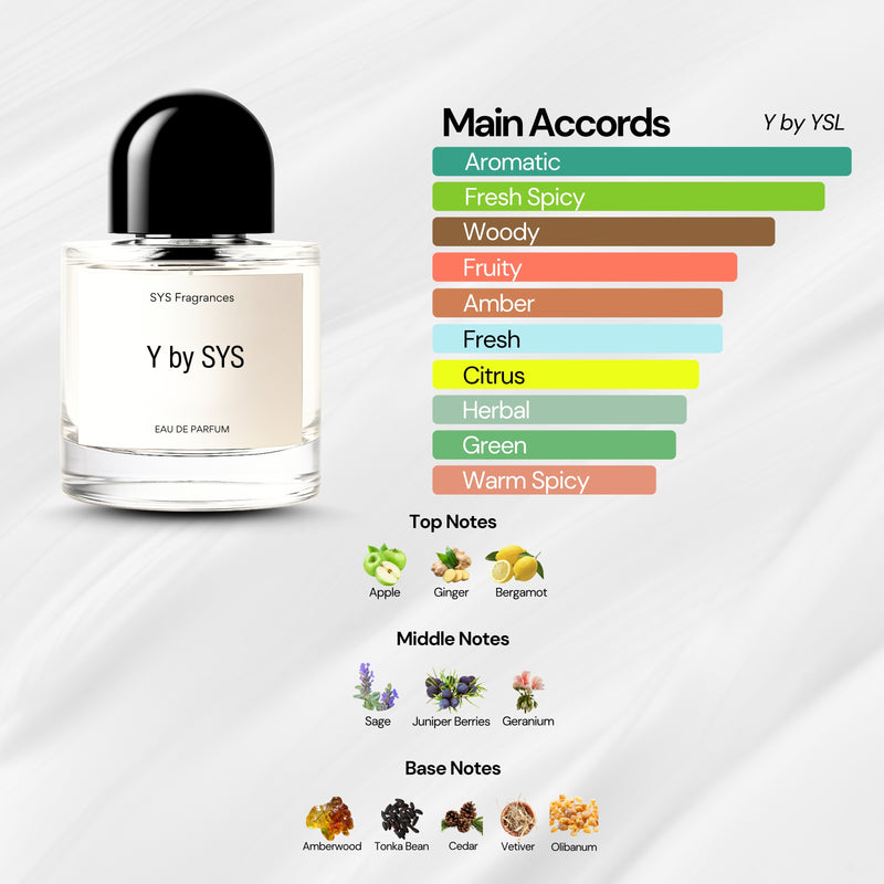 Y by SYS (Y BY YSL)